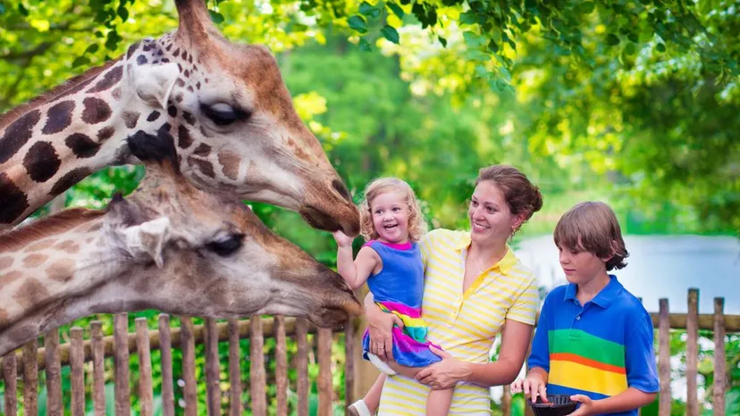 Best Zoos in the US